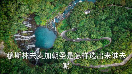 穆斯林朝覲,網(wǎng)上報名:朝覲內(nèi)蒙古人事登錄-1朝覲