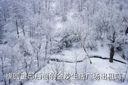 上海市金沙緣圓寶，緣圓寶邸后面的金沙生活廣場出租嗎