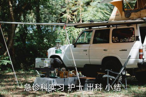 急診科實習 護士 出科 小結