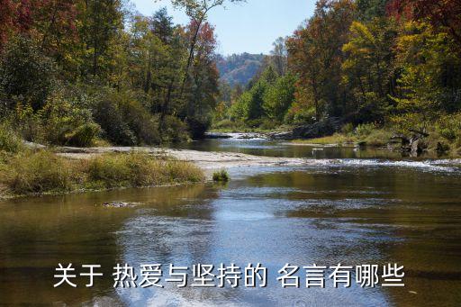 關(guān)于 熱愛(ài)與堅(jiān)持的 名言有哪些