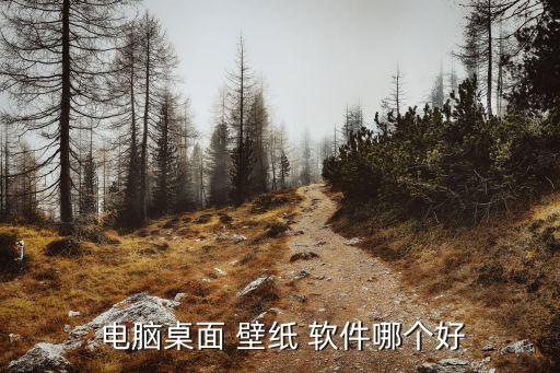 電腦壁紙軟件,搜狗壁紙軟件自動更改下載管理無意義