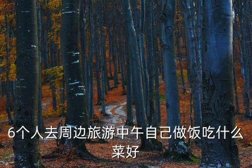 6個人去周邊旅游中午自己做飯吃什么菜好
