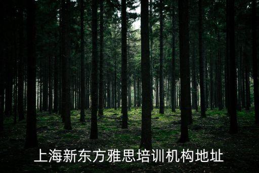 上海市徐家匯漕溪北路41號，徐匯區漕溪北路41號匯嘉大廈1001室上海螞蟻科技有限公司 誰知
