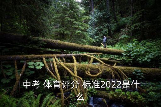 中考體育標準,中考體育會考:選修和非選修各占一半總分30分