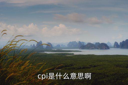 cpi什么意思,通貨膨脹與cpi的區(qū)別