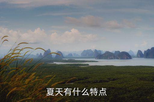夏天有什么特點