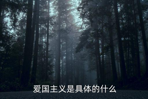 什么是愛國主義,愛國與民族主義關系密切通常作為同義詞使用
