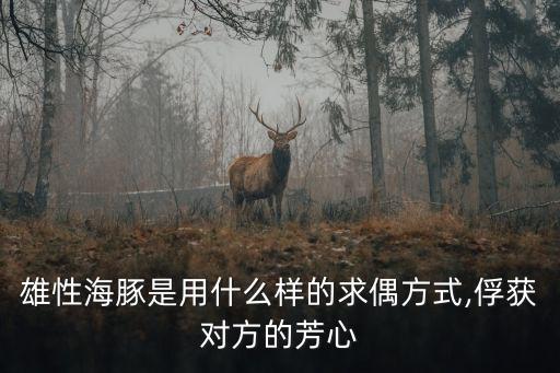 性前戲,性愛前吹口哨求偶獅城男:這樣做不會發霉!