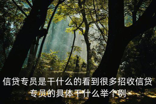 信貸專員是干什么的看到很多招收信貸專員的具體干什么舉個例