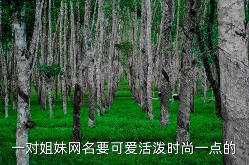 一對姐妹網名要可愛活潑時尚一點的