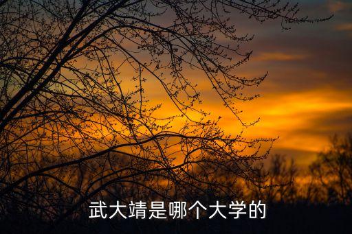 武大靖,我國羽毛球選手武大京首發能力超強內線霸氣