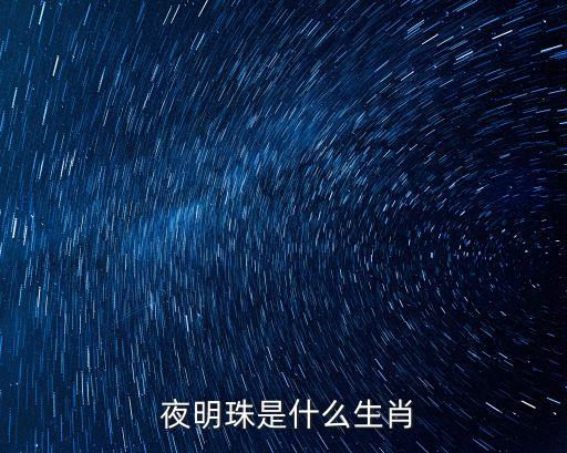  夜明珠是什么生肖