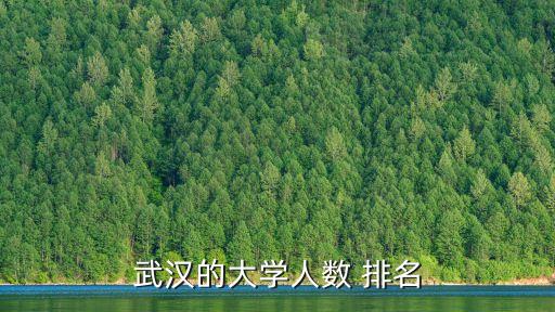 武漢的大學(xué)人數(shù) 排名