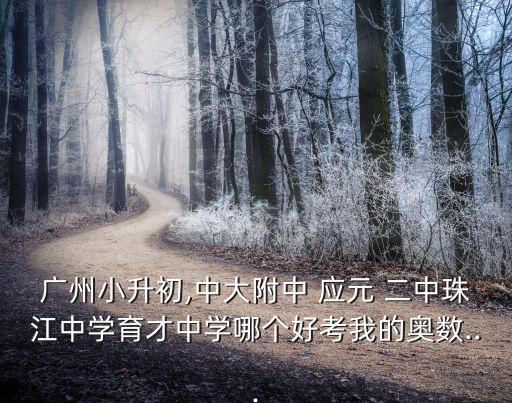 廣州小升初,中大附中 應元 二中珠江中學育才中學哪個好考我的奧數...