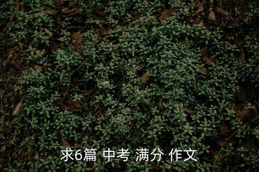 中考滿分作文,北大登山隊(duì)的勇氣和決心是因?yàn)閷W(xué)業(yè)繁忙