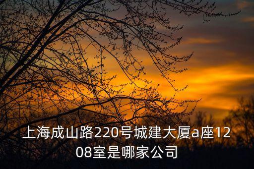 上海成山路220號城建大廈a座1208室是哪家公司