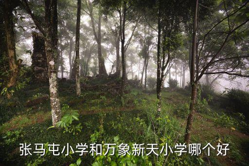 天校,濟(jì)南市歷城區(qū)萬(wàn)象新天學(xué)校于2001年8月建成