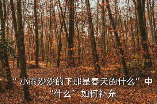“ 小雨沙沙的下那是春天的什么”中“什么”如何補充