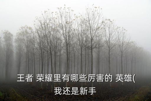 王者榮耀最強(qiáng)英雄,李白:逃跑能力最強(qiáng)雙膝跪地收割能力強(qiáng)