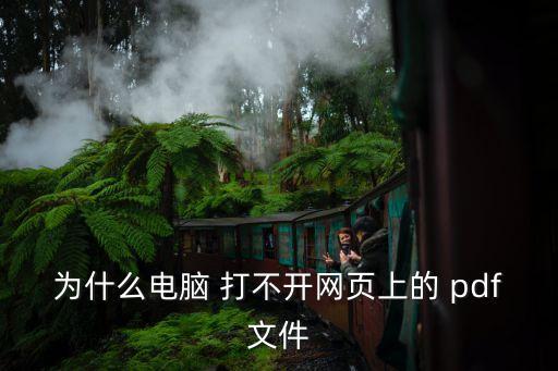 為什么電腦 打不開網頁上的 pdf文件