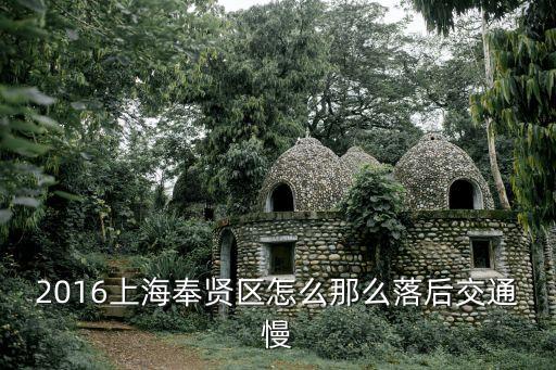 上海市奉賢區 2016暴雨，2016上海奉賢區怎么那么落后交通慢
