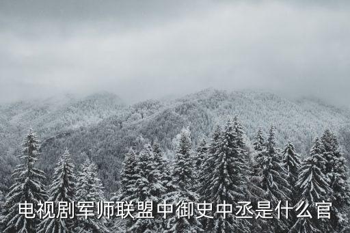 電視劇軍師聯(lián)盟中御史中丞是什么官
