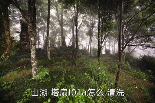 山湖 塔扇f(wàn)01a怎么 清洗