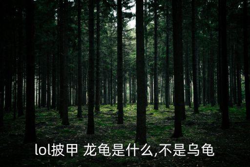 lol披甲 龍龜是什么,不是烏龜