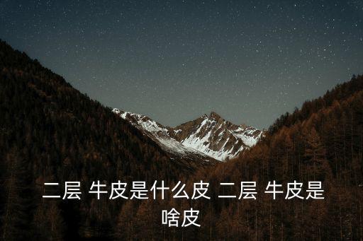  二層 牛皮是什么皮 二層 牛皮是啥皮