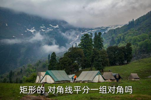  矩形的 對角線平分一組對角嗎