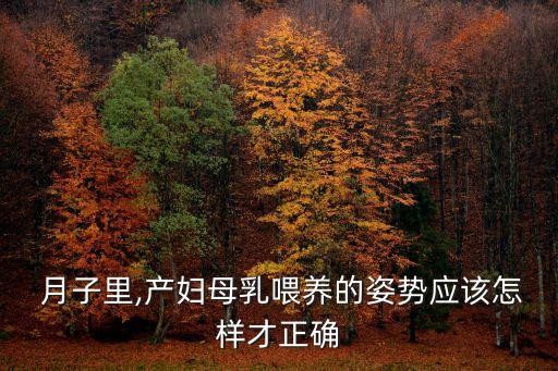  月子里,產婦母乳喂養的姿勢應該怎樣才正確