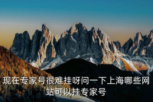 上海市醫(yī)藥信息掛網(wǎng)登記，上海健康核驗碼登記