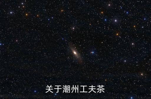 工夫茶，功夫茶是什么東西