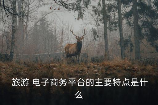  旅游 電子商務(wù)平臺(tái)的主要特點(diǎn)是什么