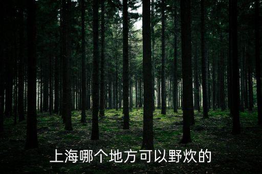 上海哪個(gè)地方可以野炊的