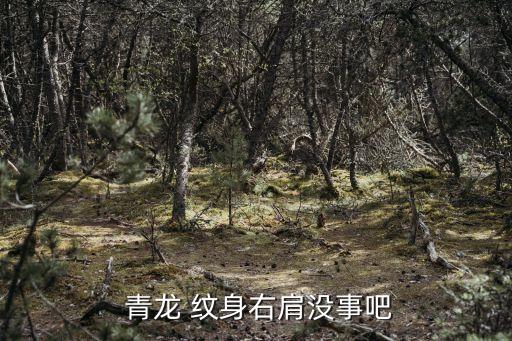  青龍 紋身右肩沒事吧