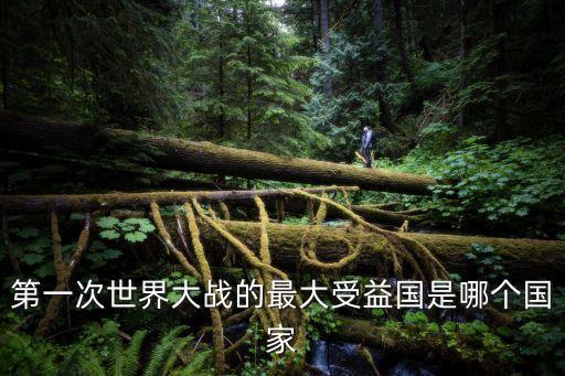 帝國霸權,英國霸權領導下國際秩序被稱為英國治下的和平