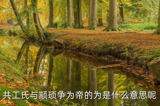 共工氏與顓頊爭為帝的為是什么意思呢