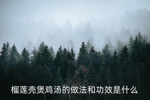 榴蓮殼煲雞湯的做法和功效是什么