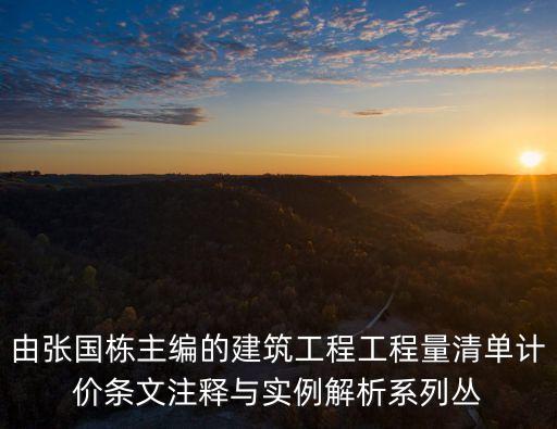 上海市工程量清單報價書，建設(shè)工程工程量清單綜合單價C類安裝工程的定額書有幾本 價格是多