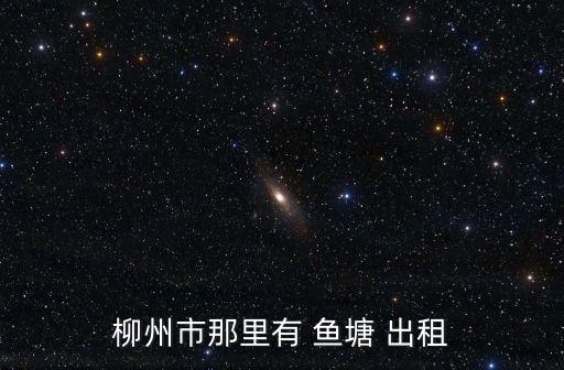 魚塘出租,柳州30畝魚塘水庫經(jīng)營權(quán)出租