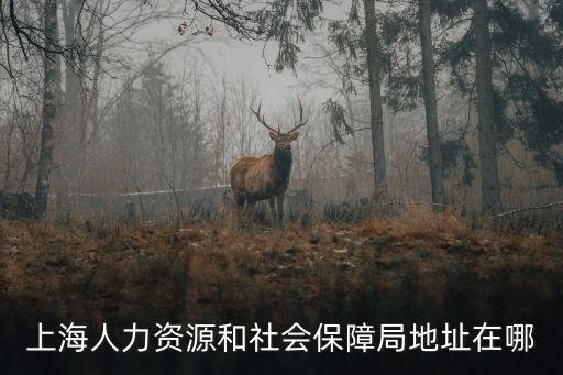 上海市人社局晁鷺，上海市同工同酬