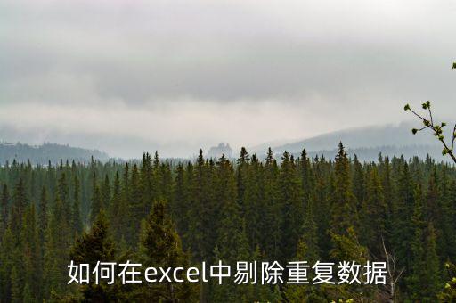 如何在excel中剔除重復數據