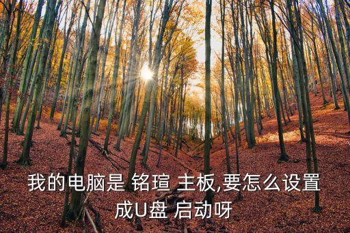 我的電腦是 銘瑄 主板,要怎么設(shè)置成U盤 啟動(dòng)呀