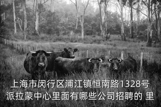 上海市閔行區浦江鎮恒南路1328號派拉蒙中心里面有哪些公司招聘的 里
