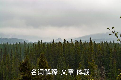 名詞解釋:文章 體裁