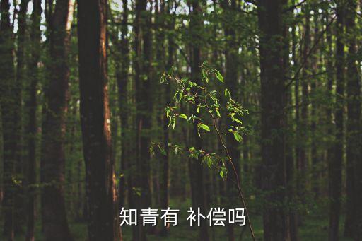 知青每人補償五萬元,上海知青補貼政策:每月發放600元補貼