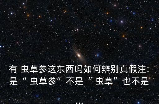 有 蟲(chóng)草參這東西嗎如何辨別真假注:是“ 蟲(chóng)草參”不是“ 蟲(chóng)草”也不是...