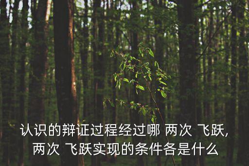 認識的辯證過程經(jīng)過哪 兩次 飛躍, 兩次 飛躍實現(xiàn)的條件各是什么