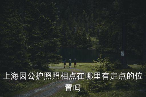 上海市因公護照 照相，上海因公護照照相點在哪里有定點的位置嗎
